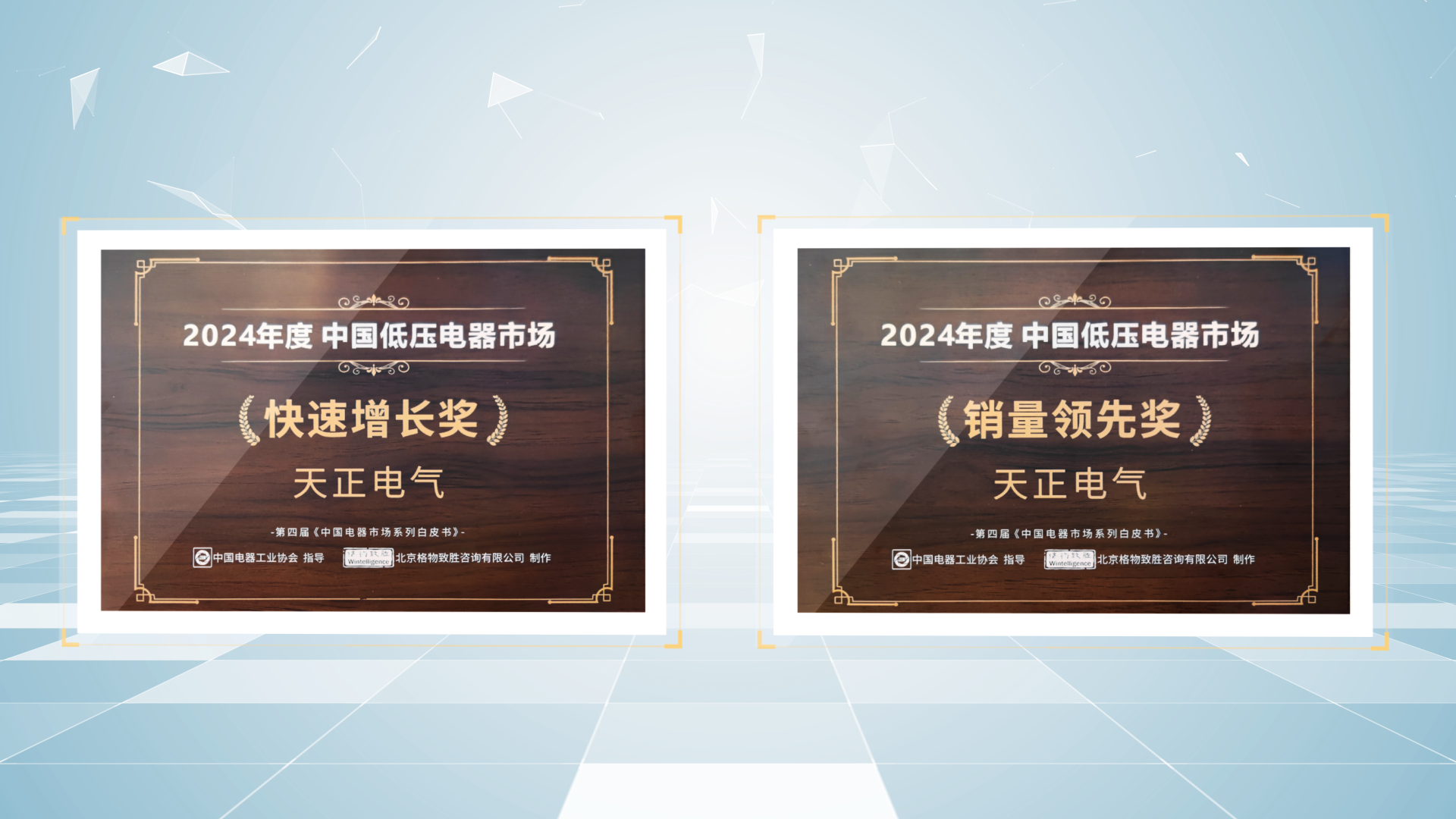 销量领先、快速增长丨ayx入口荣膺2项行业年度大奖